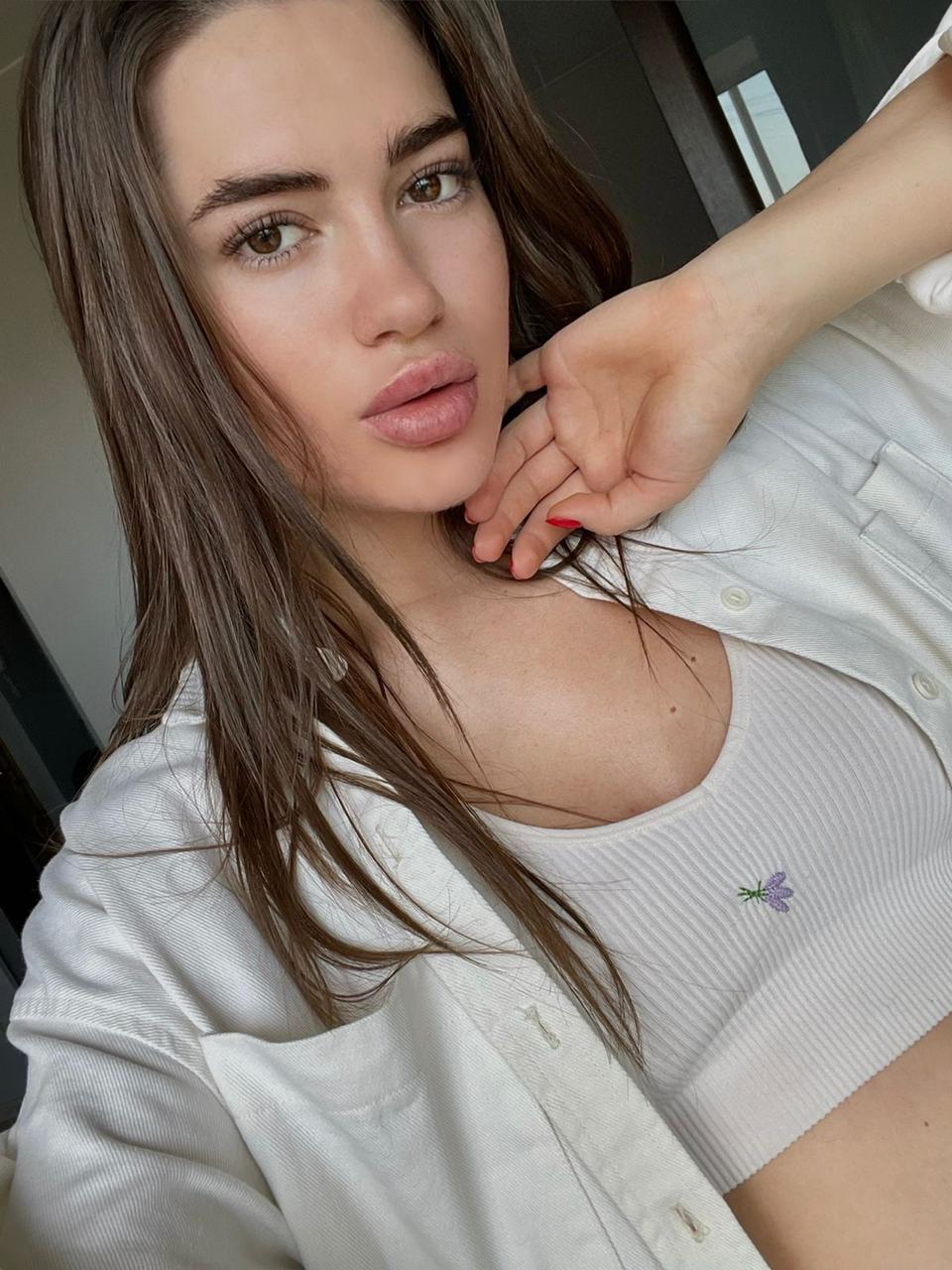 Модель Элина